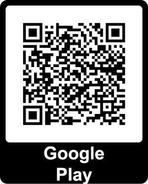 Download from Google Play