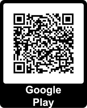 Download from Google Play