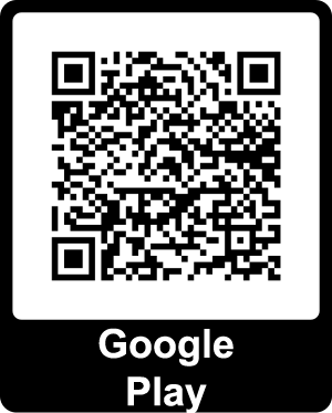 Download from Google Play