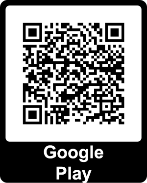 Download from Google Play