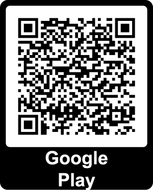 Download from Google Play