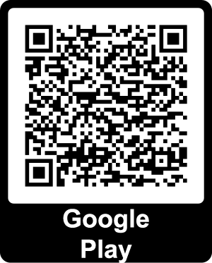 Download from Google Play