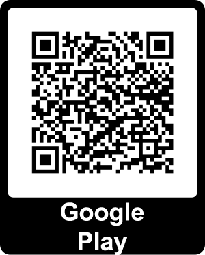 Download from Google Play