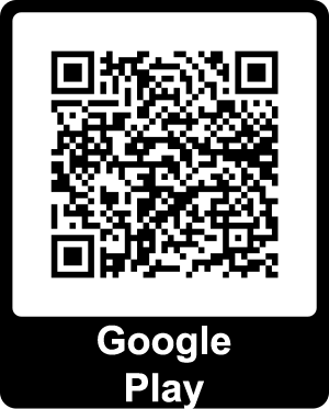 Download from Google Play