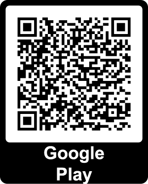 Download from Google Play