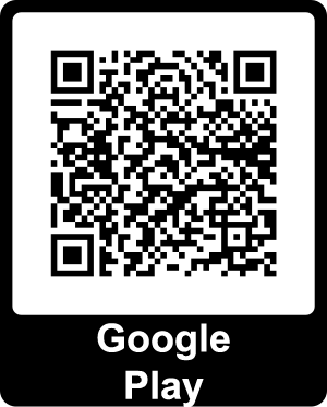 Download from Google Play